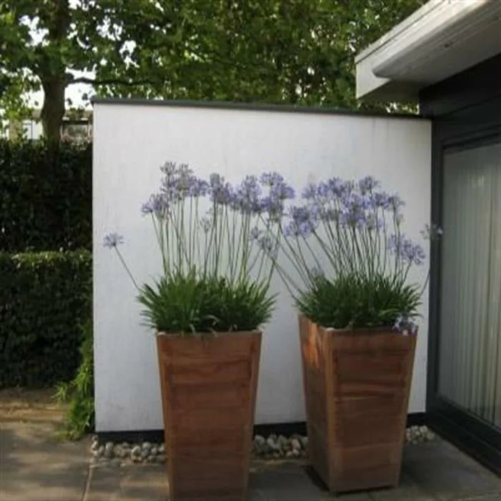 Adezz Sevilla Taper Hardwood Planters - Image 3