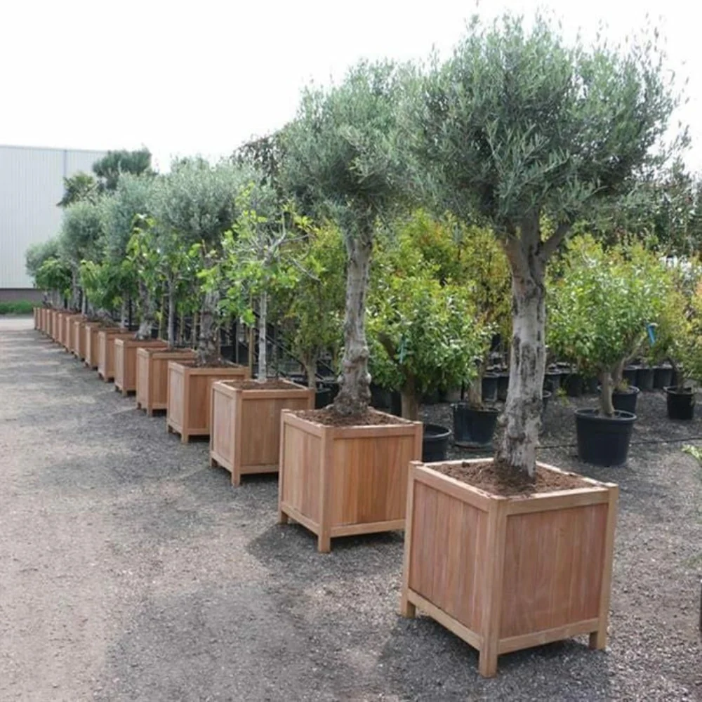 Adezz Valencia Hardwood Planter - Image 3