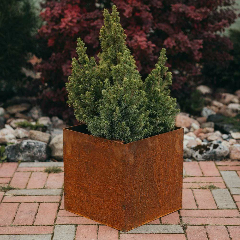 GrillSymbol Fiora Corten Steel Planters in S, M & L - Image 4